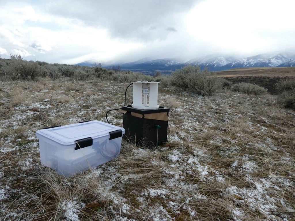 Our Research - Montana Moth Project - Northern Rockies Research ...